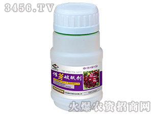 ��ѿ���߄�-�����S�r(n��ng)-��(qi��ng)�r(n��ng)����