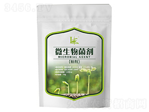 ΢����������ۄ���-���S1̖-�|������