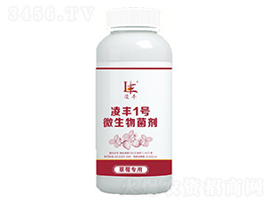 ��ݮ����΢���������ˮ����-���S1̖-�|������