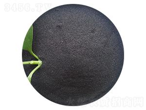 ��ֲ���@-�ֵ��S