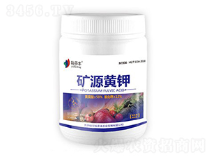 �VԴ�S�-ԣ���S