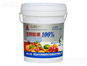 �������100%-������ϲ