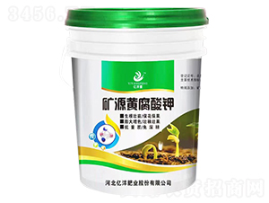 �VԴ�S�����-�|���S