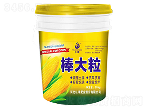 ������-�|���S