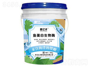 �~��������ø-�΃|��-�|���S