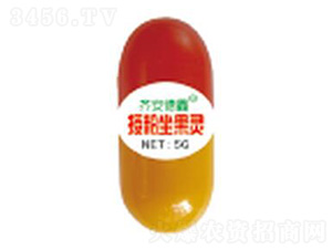 5g�ڷ������`-��������