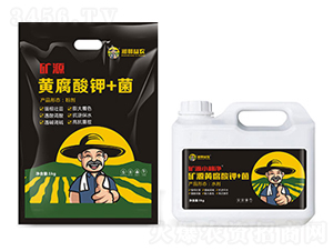 �VԴ�S�����+��-�������r