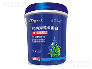 ̼ø�����~����-�������r