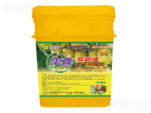 �J���Ҍ��Û_ʩ��-��ϲ-��������