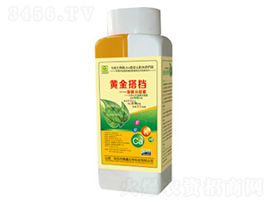 ��(x��)��������-�S���n-�������� 