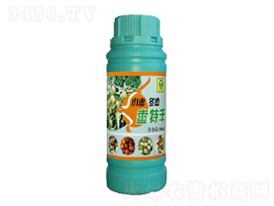 С�����������~���-�����`-��������