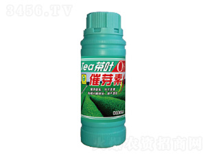 500ml���~��ѿ��-��������