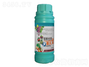 �ڷ���������`-��������