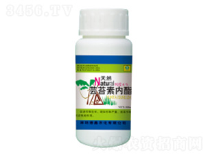 100ml��Ȼ�|̦�؃�(n��i)֬-��������