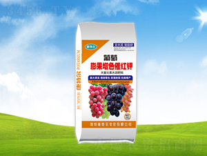 ���������ɫ�߼t�-���ؠ��r(n��ng)��