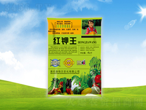 �t���-���ؠ��r(n��ng)��