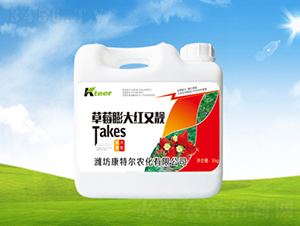 ��ݮ���t���n-���ؠ��r(n��ng)��