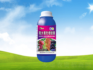 �����ɫ������-���ؠ��r(n��ng)��