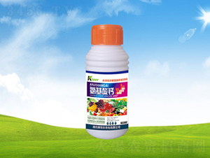 ƿ�b�������}�~���-���ؠ��r(n��ng)��