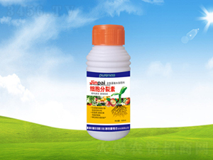 ��(x��)��������-���ؠ��r(n��ng)�� 