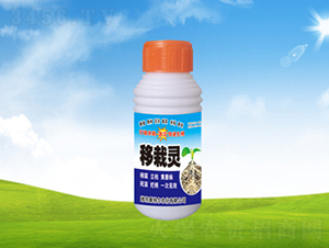 �����`-���ؠ��r(n��ng)��