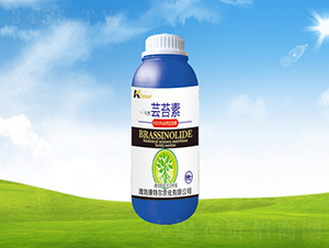 �|̦��-���ؠ��r(n��ng)��