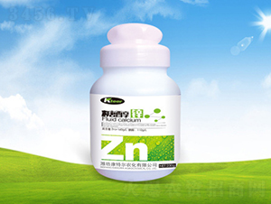 ƿ�b�Ǵ��\-���ؠ��r(n��ng)��