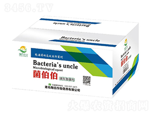 ΢�������-���������У�-��������