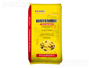 �ݲ�ѿ������-��������