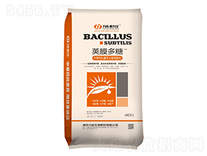 �vĤ����-��������