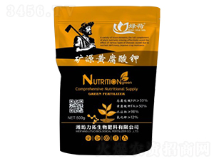 �VԴ�S�����-��������