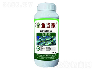 �~(y��)����-�~(y��)��(d��ng)��-�Õr(sh��)������