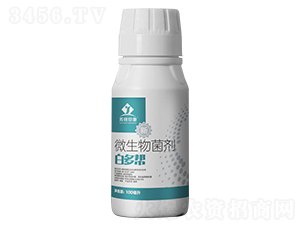 ΢�������-�׶���-�K��ӡ��