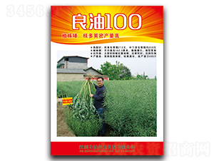 ����100-�Ͳ˷N��-�����N�I(y��)