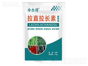 ��ֱ���L(zh��ng)��ͨ����-�᠖��-¡���r(n��ng)�I(y��)