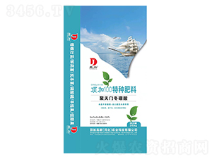 �����T������피�100�طN����-����