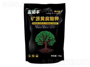 �VԴ�S�����-����S-�ذ�����