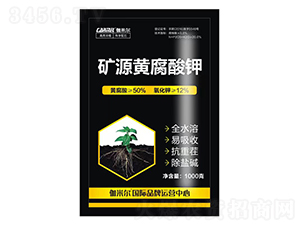 �VԴ�S�����-٤�נ�-�_˼ķ