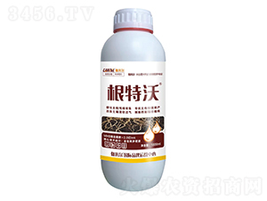 ������-٤�נ�-�_˼ķ