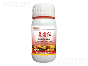 ��¶�t�o�����D(zhu��n)ɫ���Ǆ�-٤�נ�-�_˼ķ