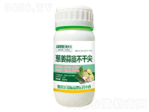 �[����²��ɼ�-٤�נ�-�_˼ķ