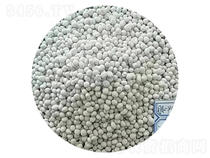 ���ȩ25-11-12-׿���r�I(y��)