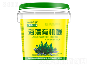 �����ЙC(j��)̼-�������-�̷���