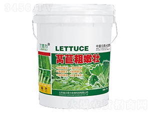 �n�S���ۉ�-�m����