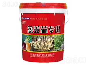 �[���⌣��-�m����