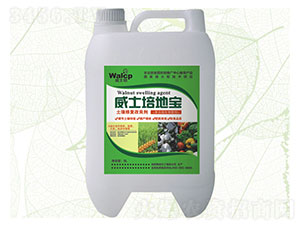 ����������-��ʿ��،�-����