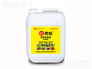 10kg����⁰�ϡ-⁷ʿ�-���r(n��ng)�挚