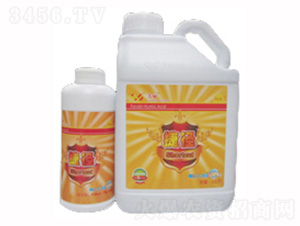 �ݏ�-���|���r(n��ng)�I(y��)