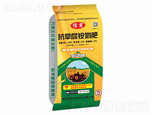 �������@����-����