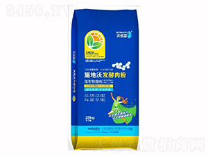 ʩ���ְl(f��)�����-���ַʘI(y��)